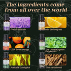 6-Pack Essential Oils Set | 10mL Water Soluble Aromatherapy Oils for Diffusers & Humidifiers | Includes Sandalwood, Sweet Orange, Lavender, Eucalyptus, Lemon & Mint