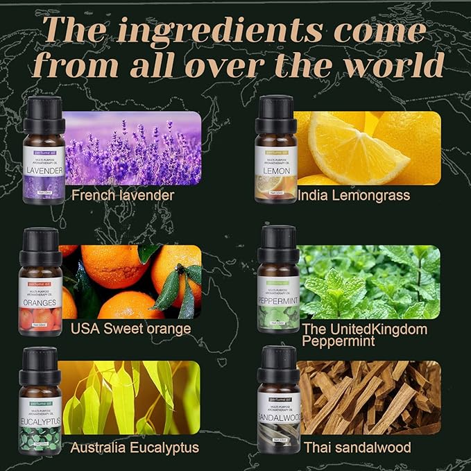 6-Pack Essential Oils Set | 10mL Water Soluble Aromatherapy Oils for Diffusers & Humidifiers | Includes Sandalwood, Sweet Orange, Lavender, Eucalyptus, Lemon & Mint