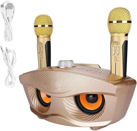 Wireless Bluetooth Speaker with Dual Microphone Set | Portable Karaoke System for Home, Parties & Events