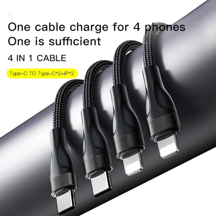 CA110 4-in-1 Type-C Data Cable | Multi-Device Charging with 2 Type-C & 2 Lightning Connectors | Durable & Fast Charging | Versatile Cable for Smartphones, Tablets & More