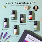 6-Pack Essential Oils Set | 10mL Water Soluble Aromatherapy Oils for Diffusers & Humidifiers | Includes Sandalwood, Sweet Orange, Lavender, Eucalyptus, Lemon & Mint