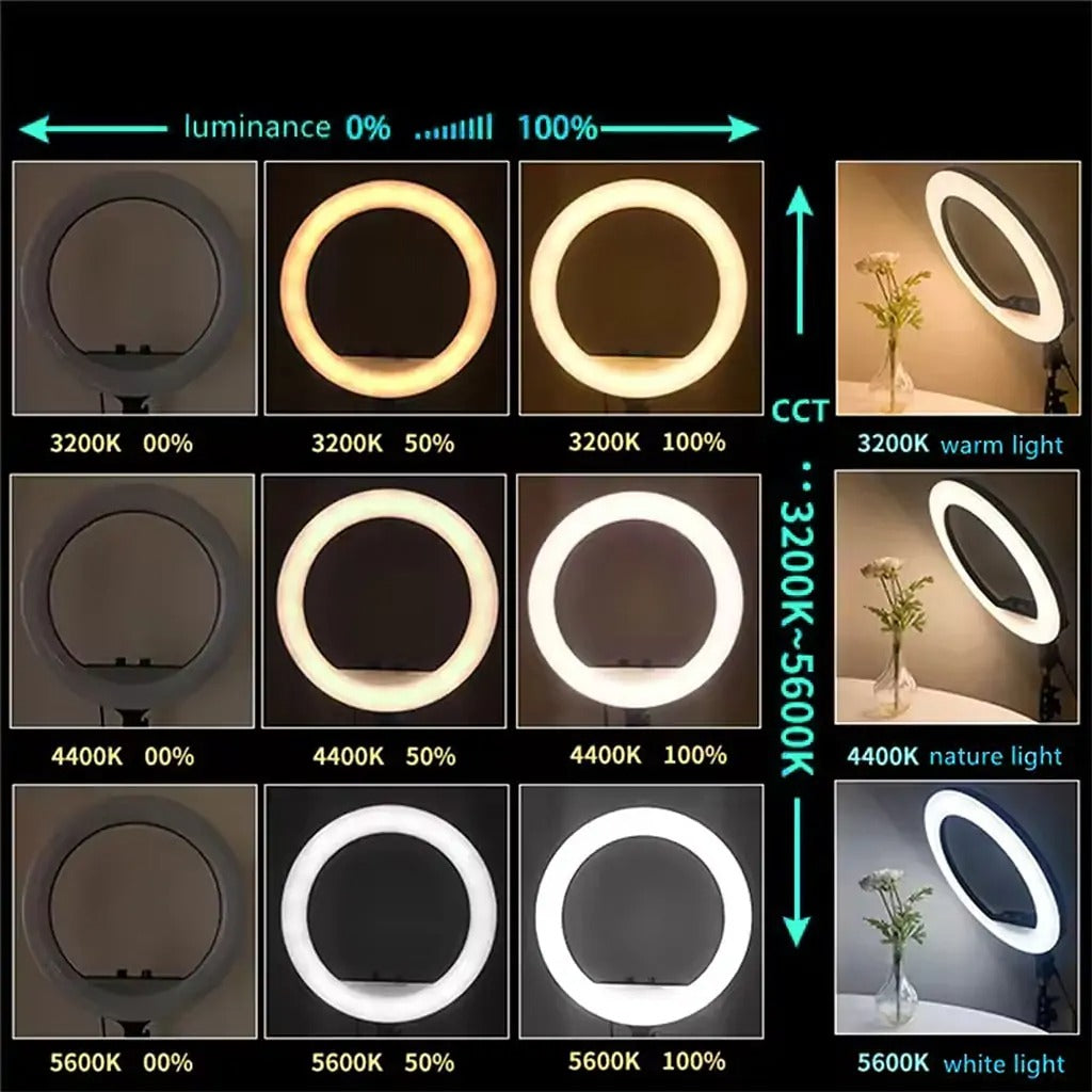14-Inch Selfie Ring Light & Tripod – Adjustable Lighting with 3 Phone Holders
