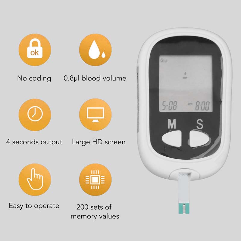 Blood Glucose Meter Large screen diabetes testing kit with tiny blood sample & coding. Essential diabetic supplies for monitoring.
